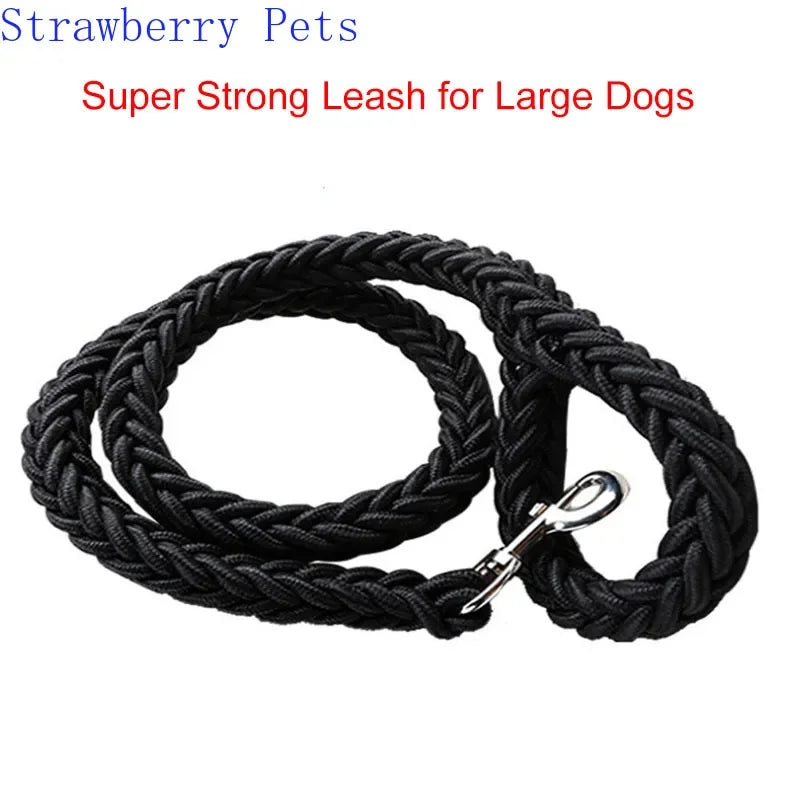 Strong Nylon Dog Leash and Collar Set