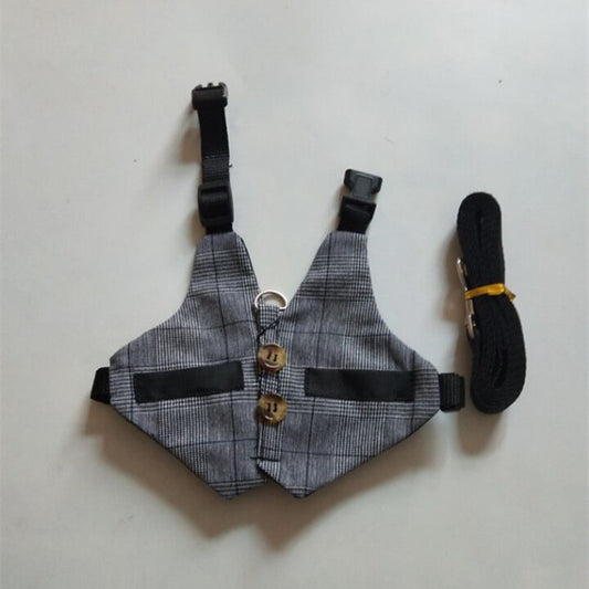 Rabbit Harness and Leash Set