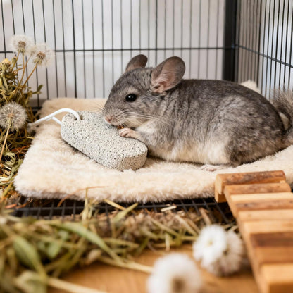 Mineral Chew Stones for Small Animals