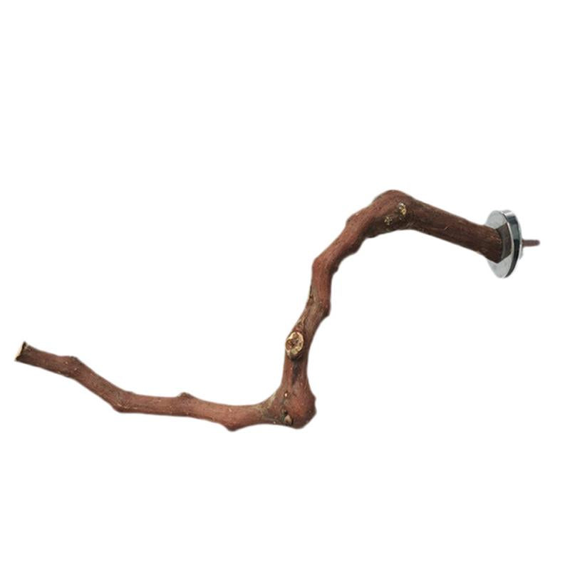 Natural Vine Bird Perch