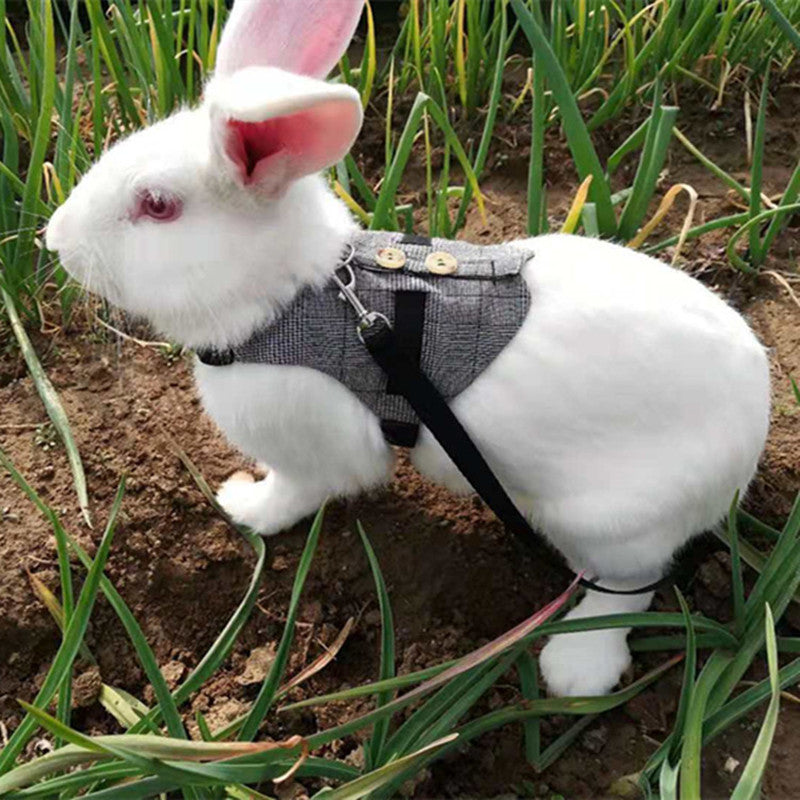 Rabbit Harness and Leash Set