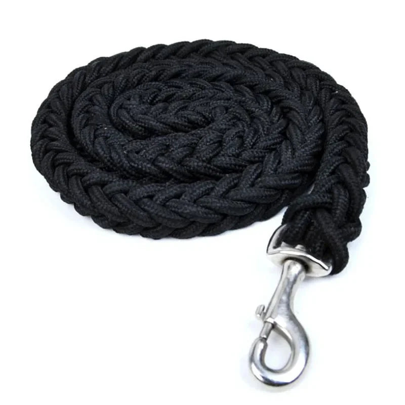 Strong Nylon Dog Leash and Collar Set