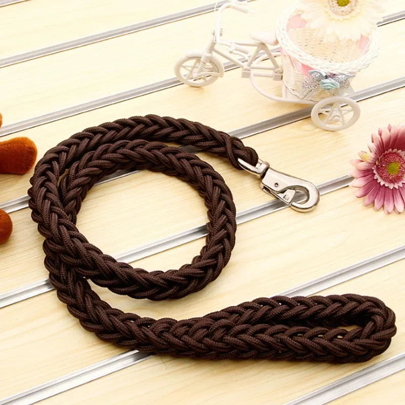 Strong Nylon Dog Leash and Collar Set