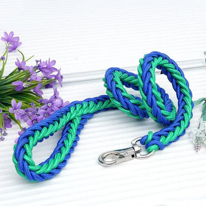 Strong Nylon Dog Leash and Collar Set