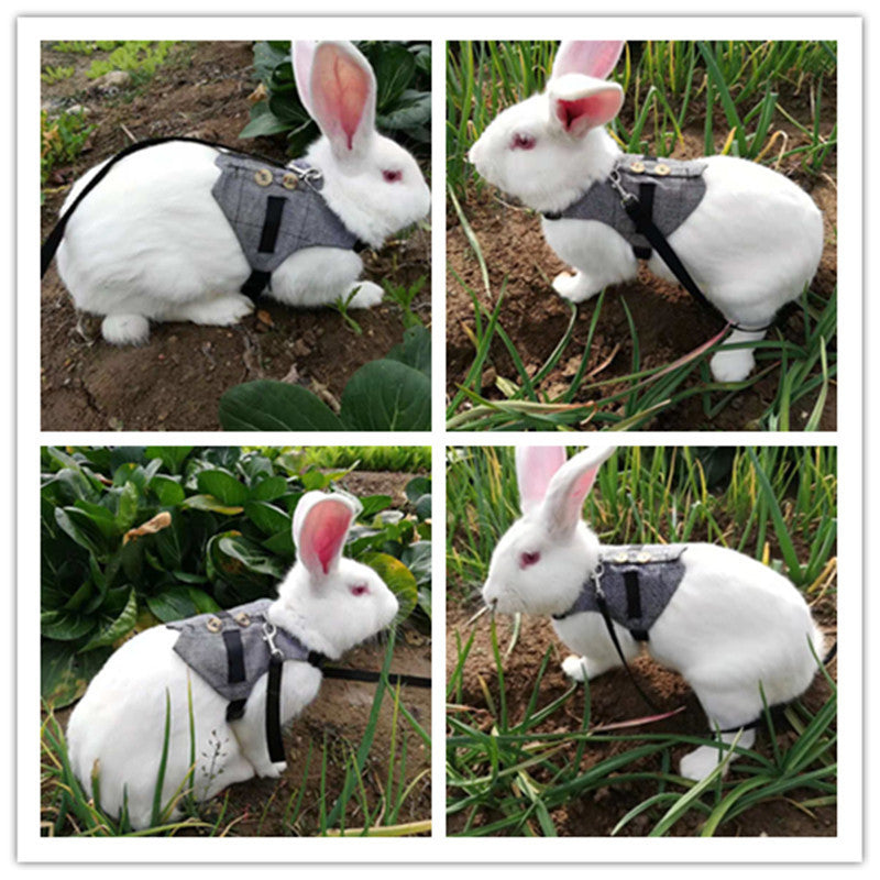 Rabbit Harness and Leash Set
