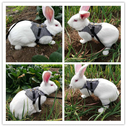 Rabbit Harness and Leash Set