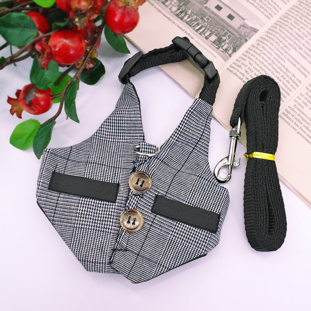 Rabbit Harness and Leash Set