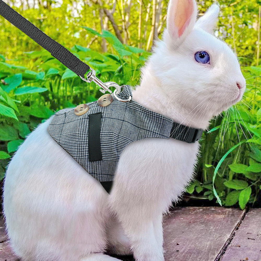 Rabbit Harness and Leash Set