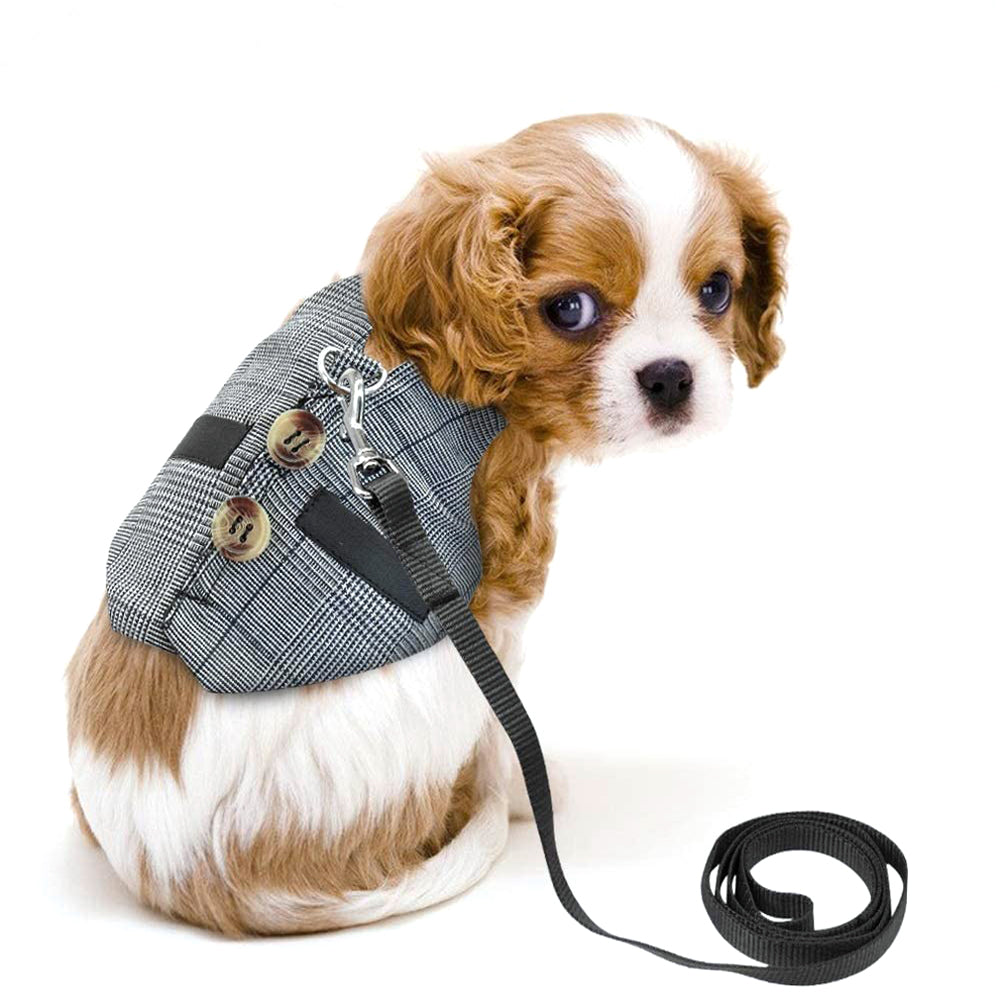Rabbit Harness and Leash Set